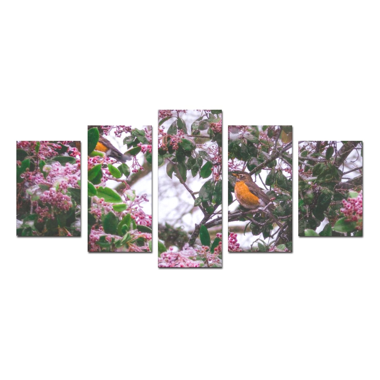 Canvas Wall Art Prints (No Frame) 5-Pieces/Set D