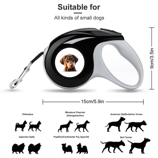 Walk your pet Leash