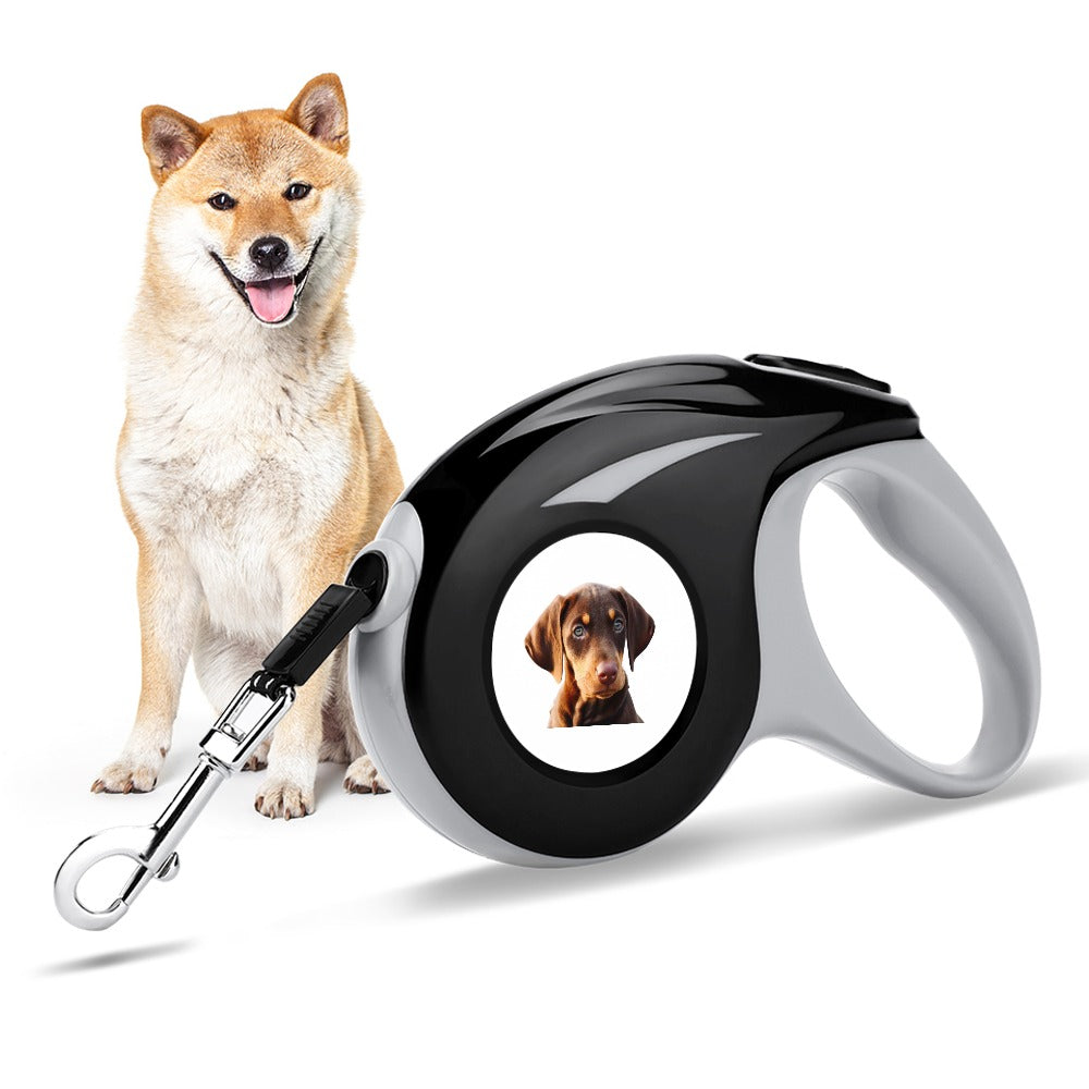 Walk your pet Leash