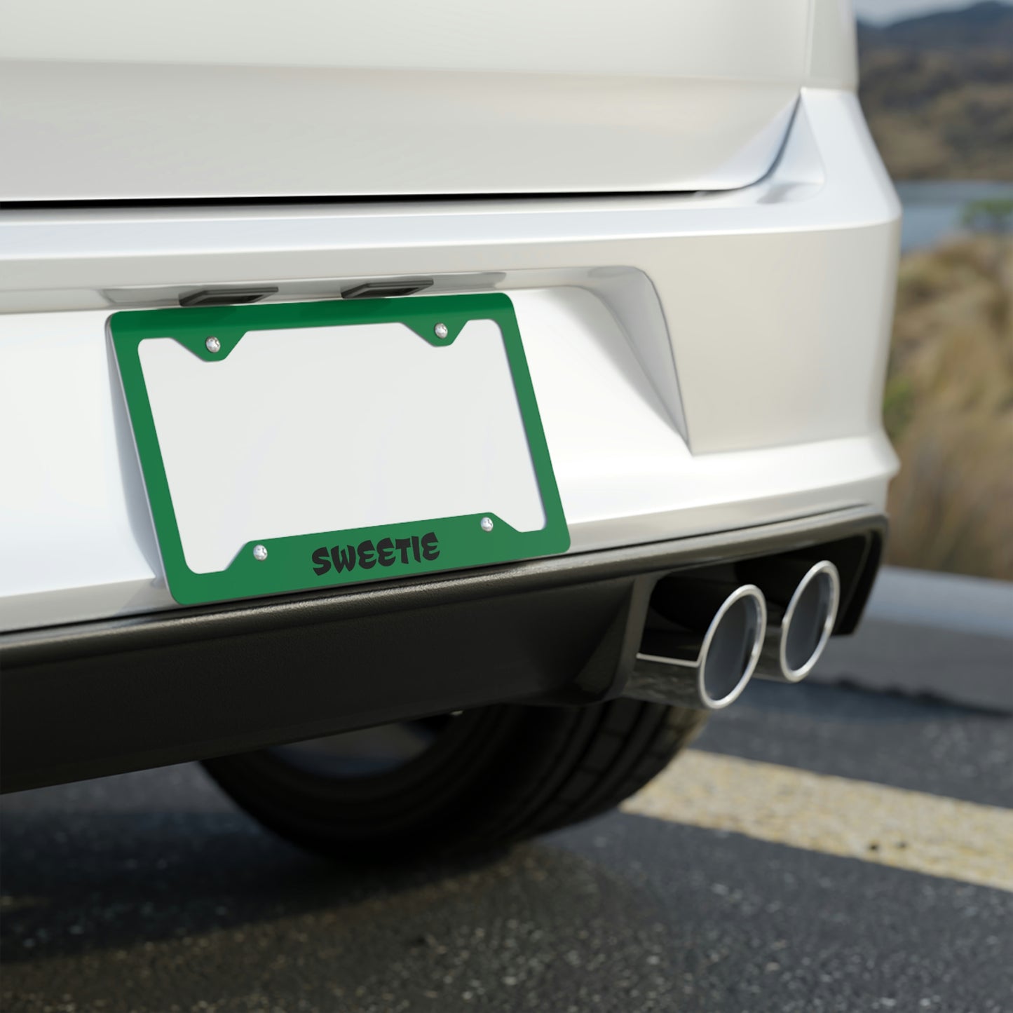 Name Metal License Plate Frame